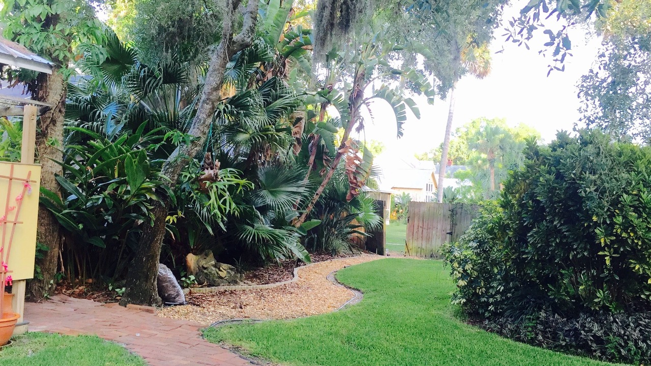Photo of Outdoor in New Smyrna Beach