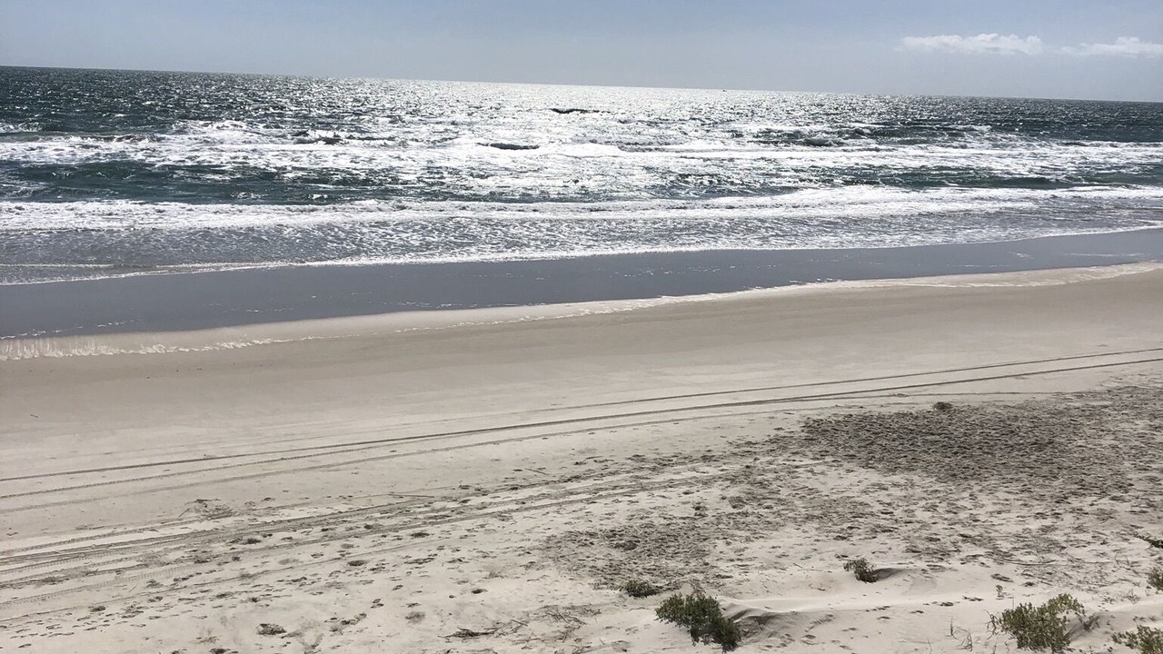 Photo of Others in Ponce Inlet
