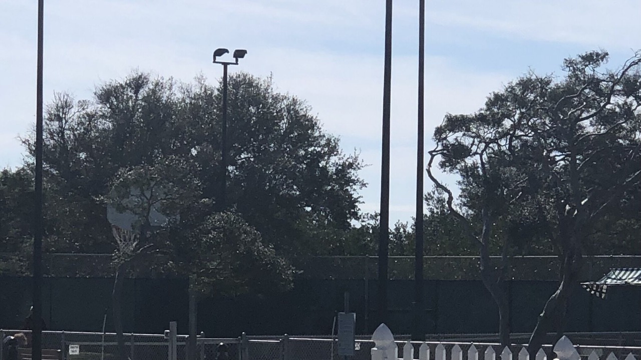 Photo of Others in Ponce Inlet