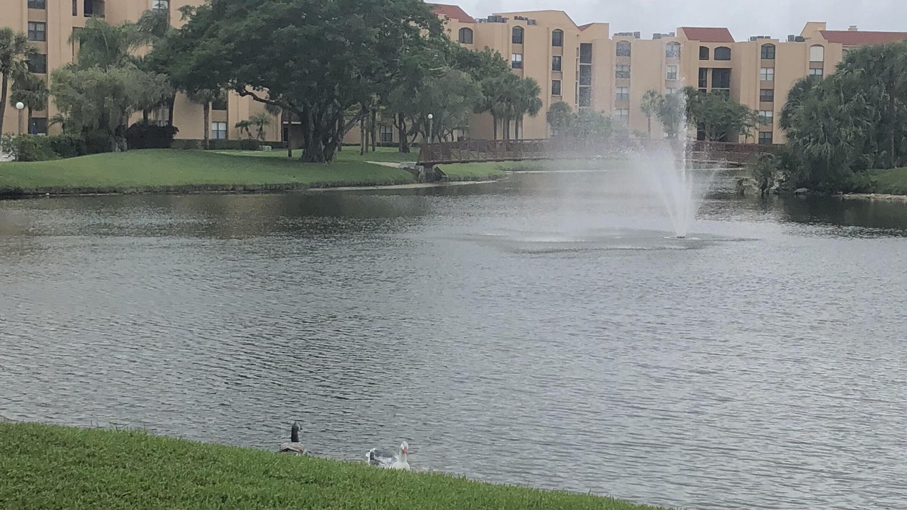 Photo of Outdoor in Tropic Palms