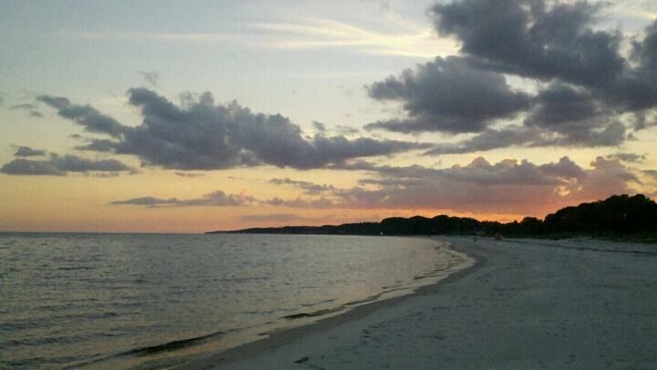 Photo of Others in Carrabelle