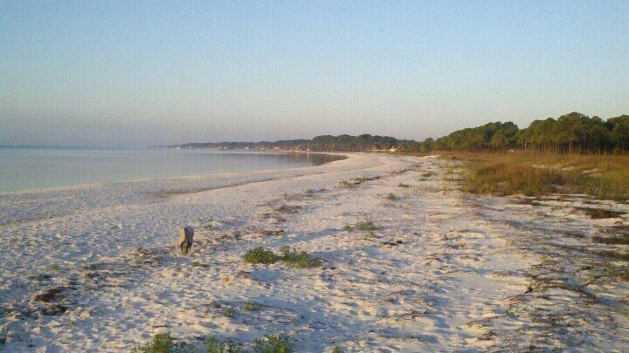 Photo of Others in Carrabelle