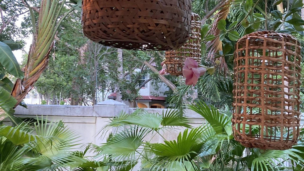 Photo of Others in La Hacienda