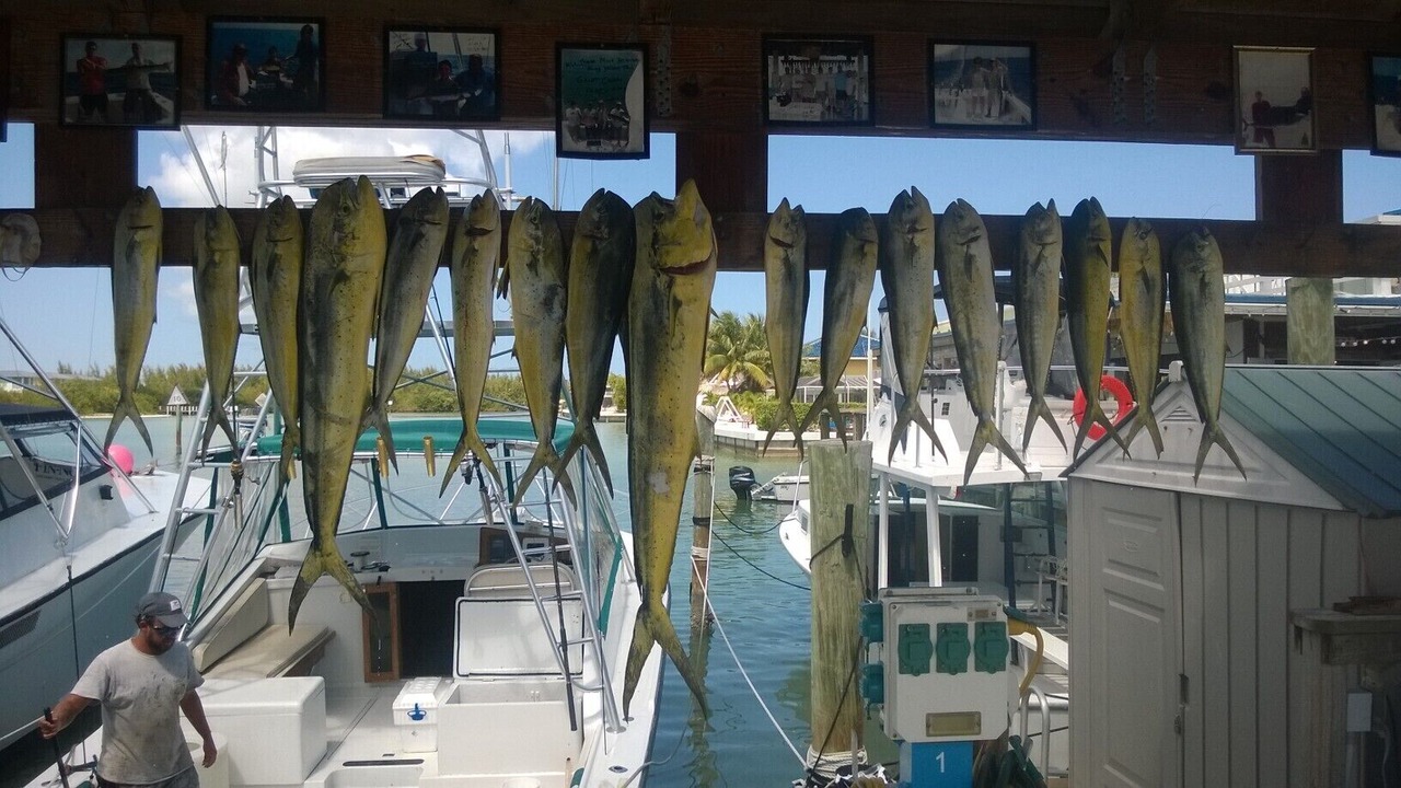 Photo of Others in Key Colony Beach
