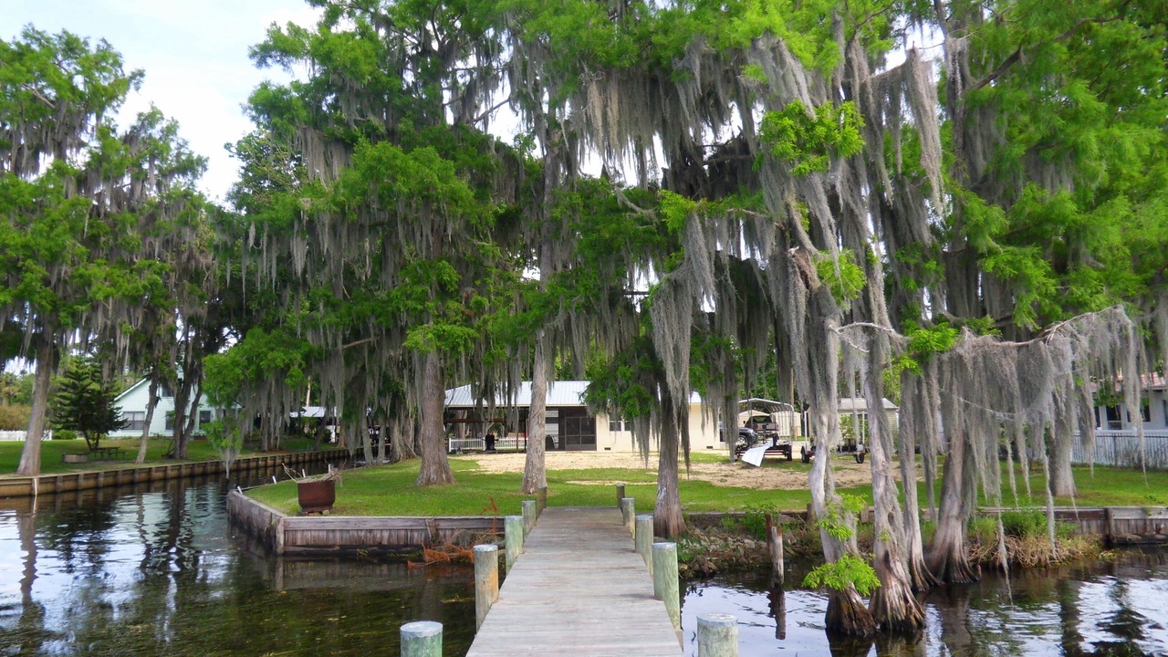 Photo of Outdoor in Crescent City