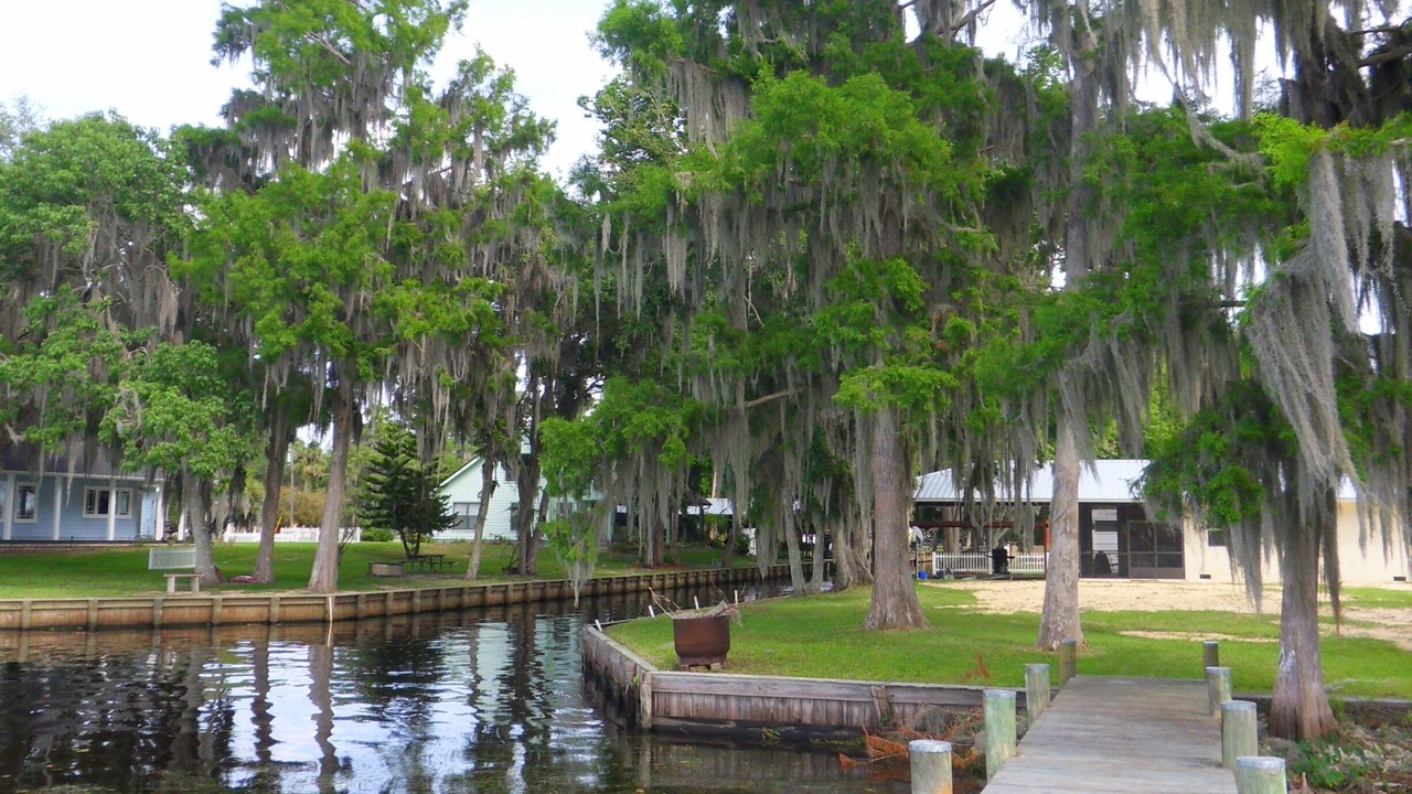 Photo of Outdoor in Crescent City