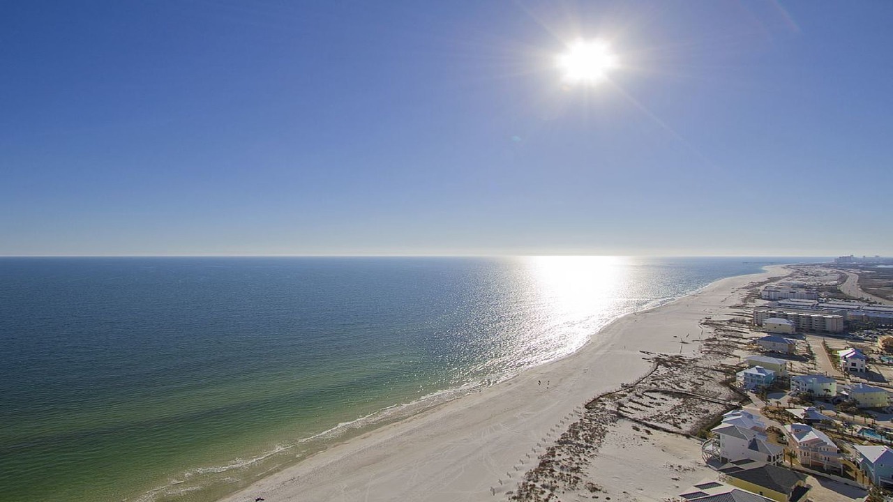 Photo of Others in Orange Beach