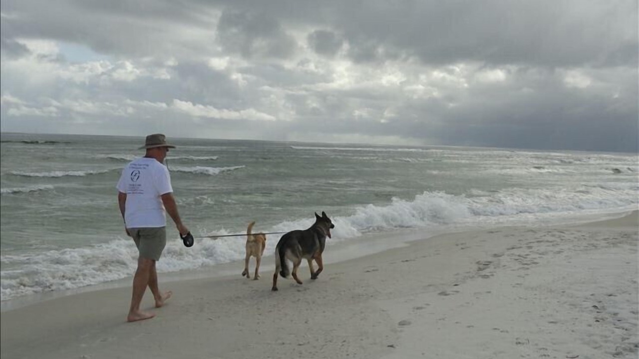 Photo of Others in Waterside Village
