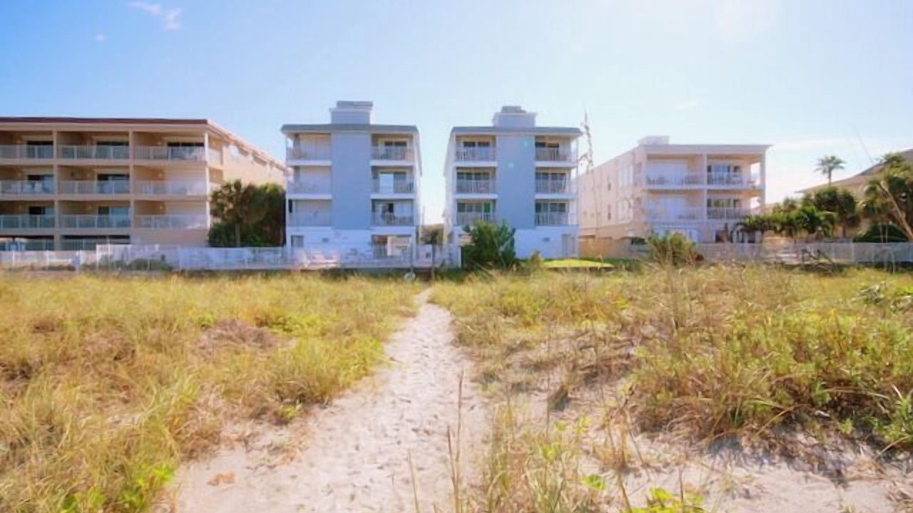 Photo of Others in Indian Rocks Beach