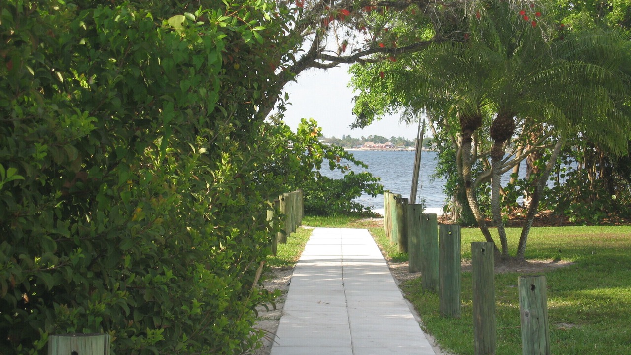 Photo of Others in Iona