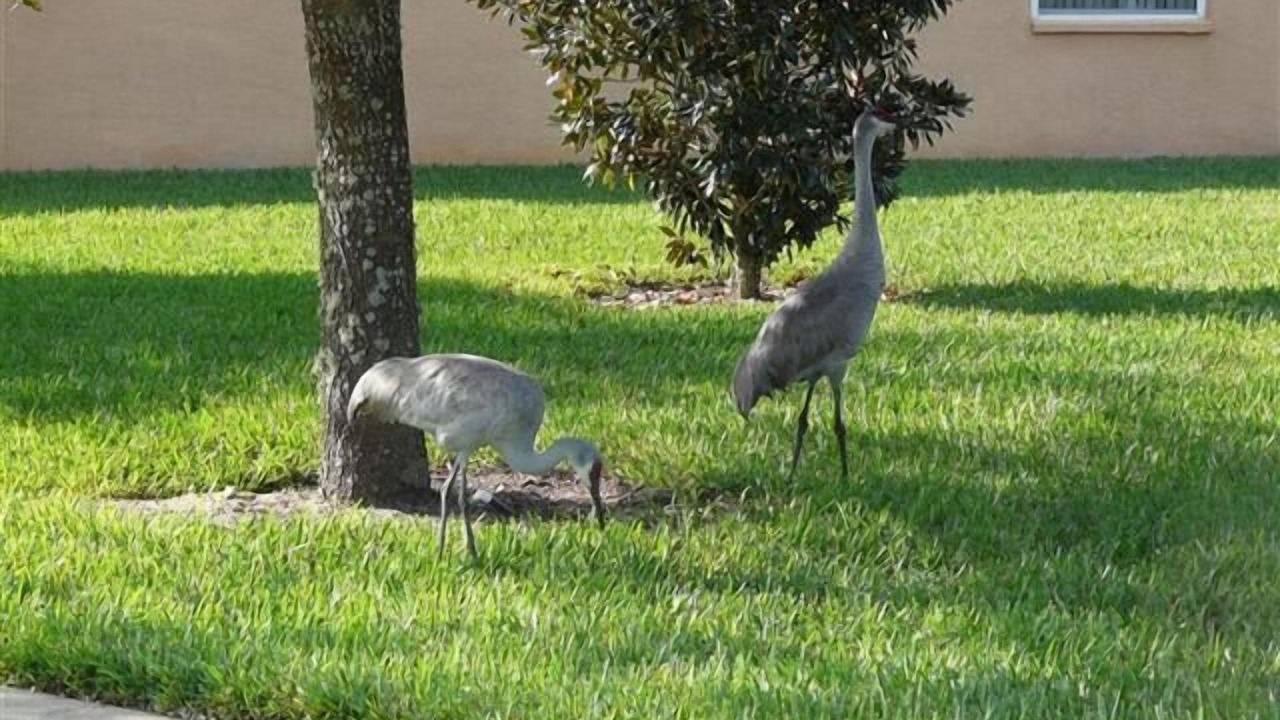 Photo of Others in Silver Creek