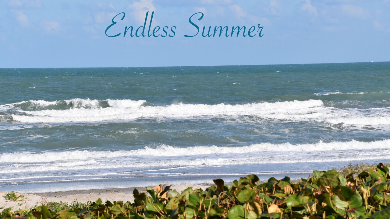 Photo of Others in Indialantic By The Sea