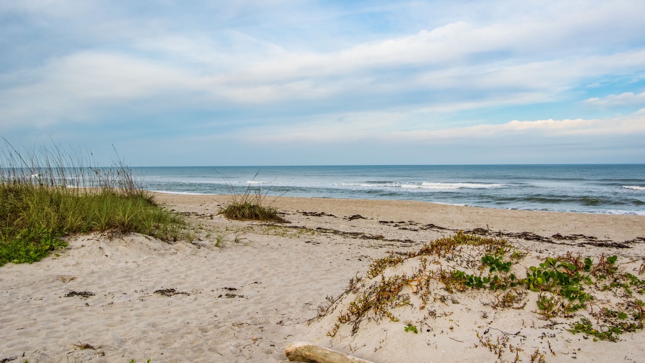 Photo of Others in Indialantic By The Sea