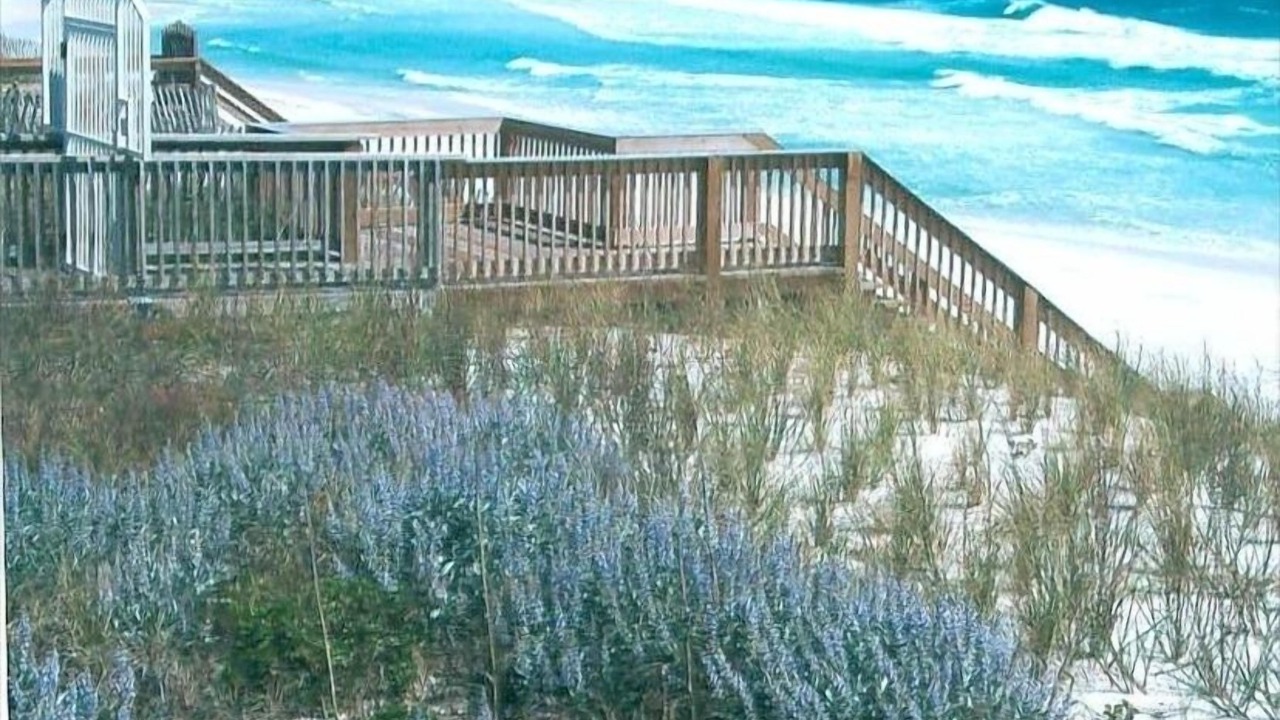 Photo of Outdoor in Santa Rosa Beach