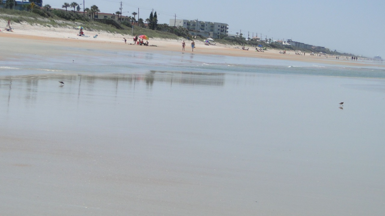 Photo of Others in Ormond-by-the-Sea