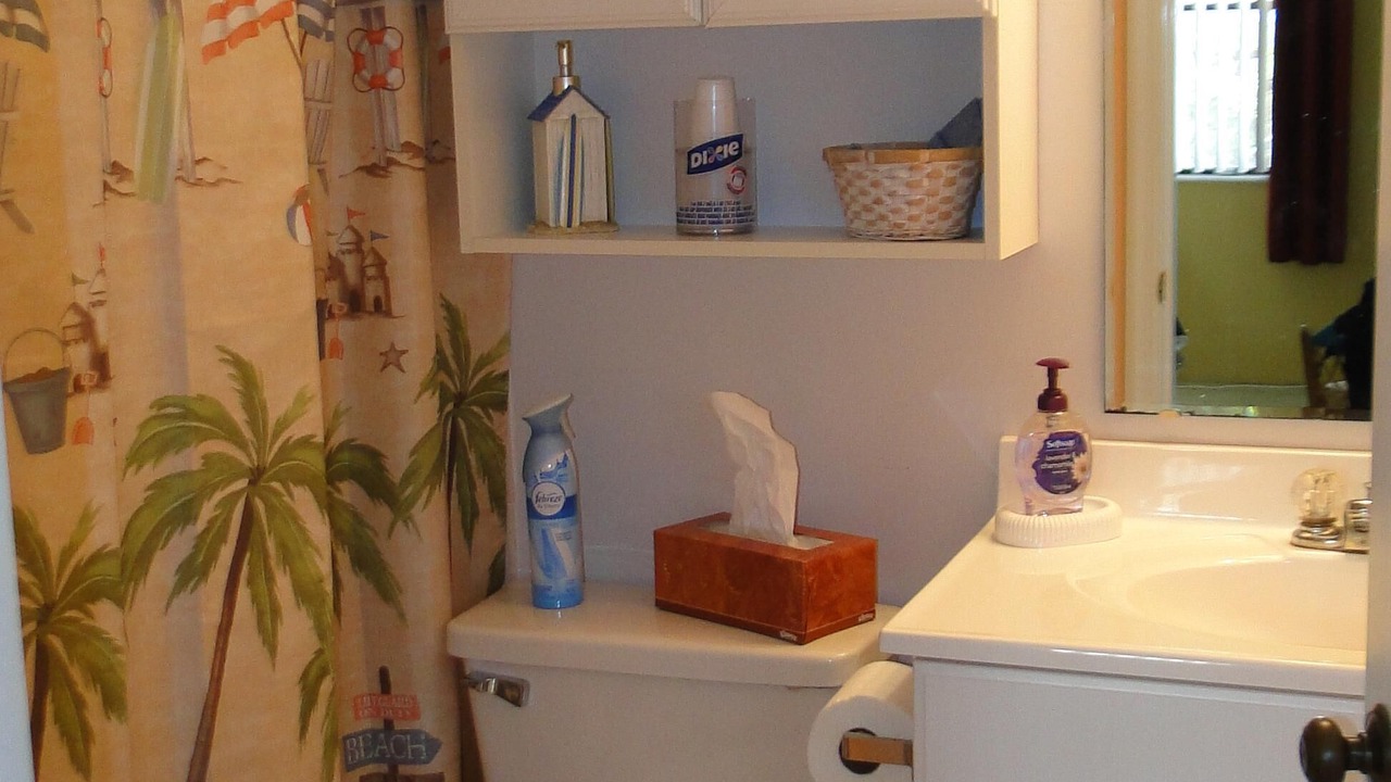 Photo of Bathroom in Ormond-by-the-Sea