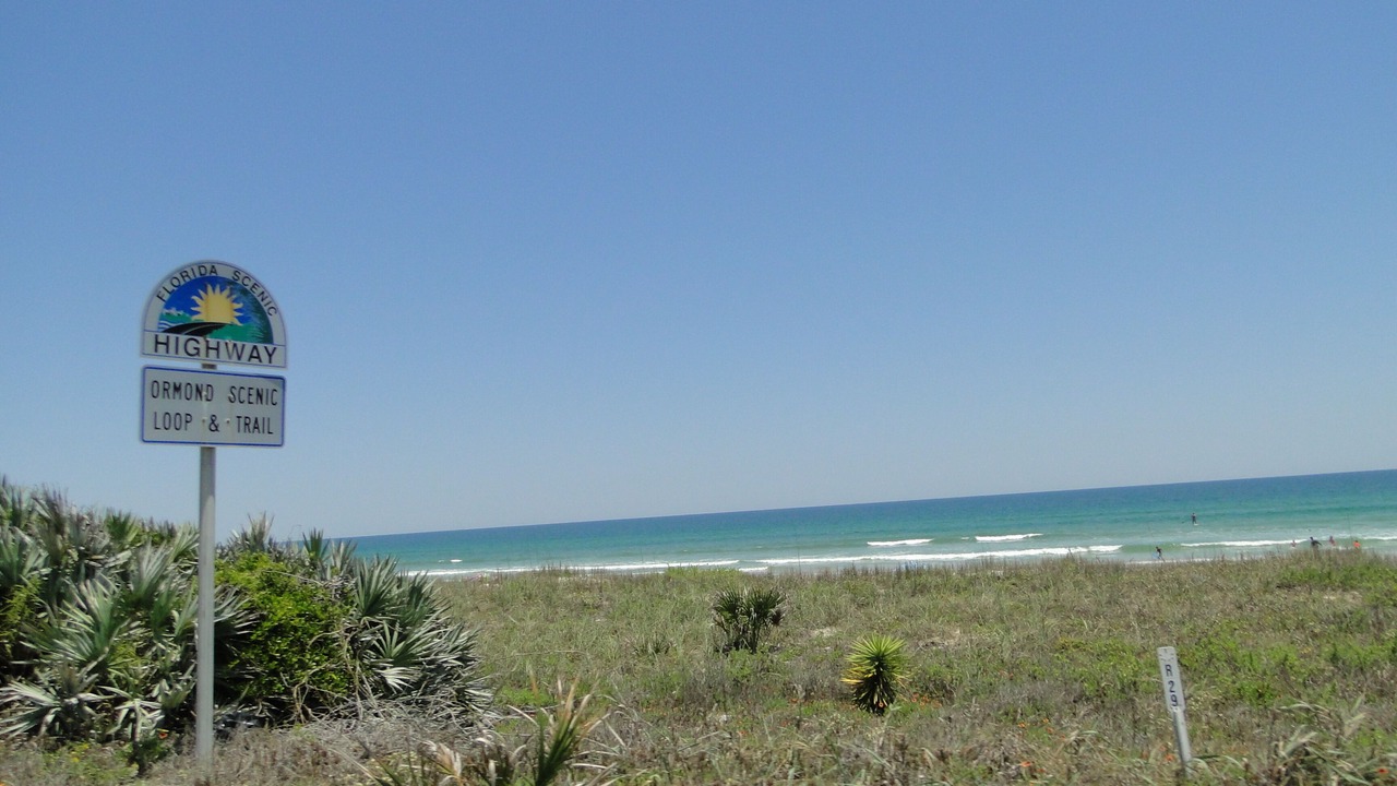Photo of Others in Ormond-by-the-Sea