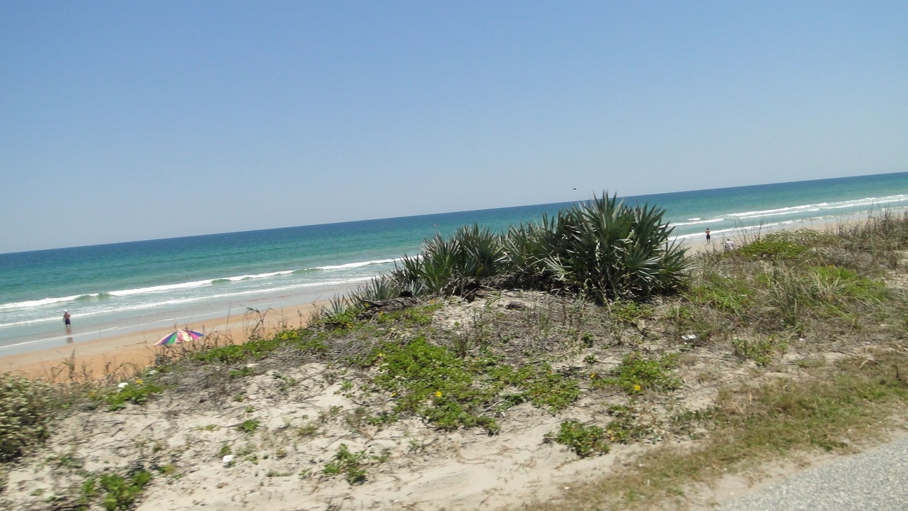 Photo of Others in Ormond-by-the-Sea