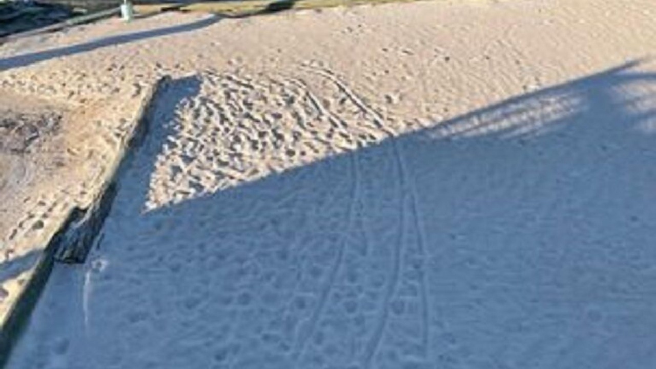 Photo of Others in Fort Morgan Pines