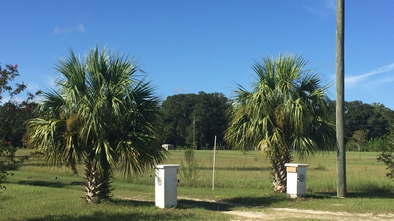 Photo of Others in Live Oak