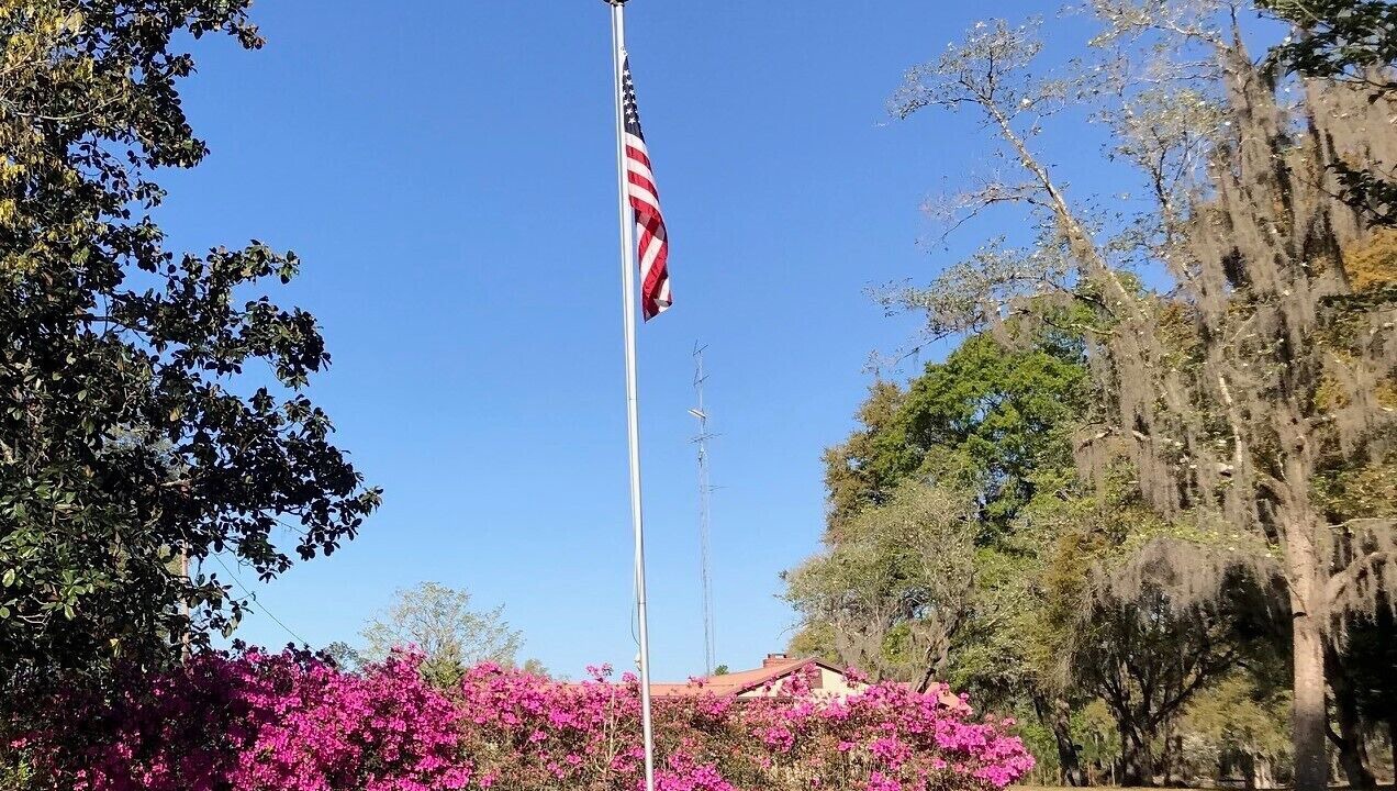 Photo of Others in Live Oak