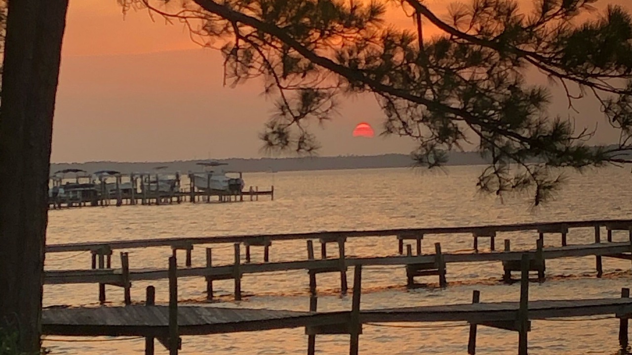 Photo of Others in Orange Beach East