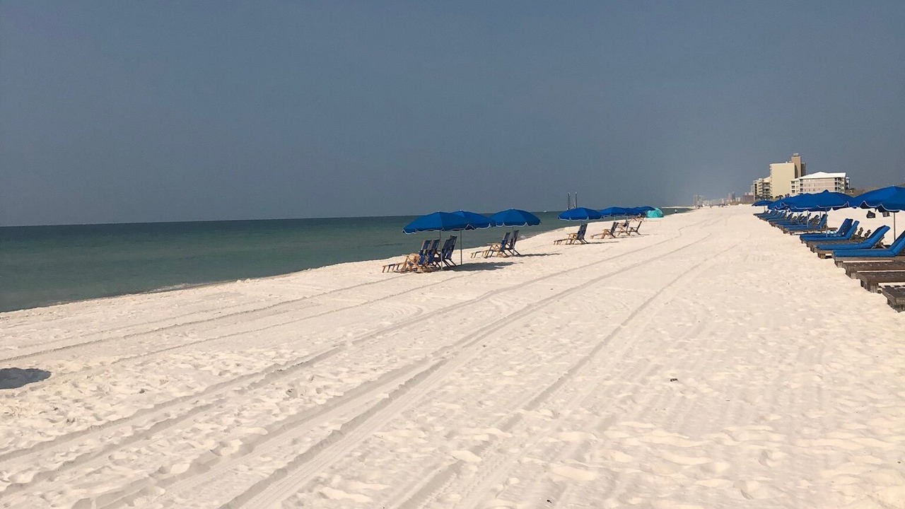 Photo of Others in Orange Beach East