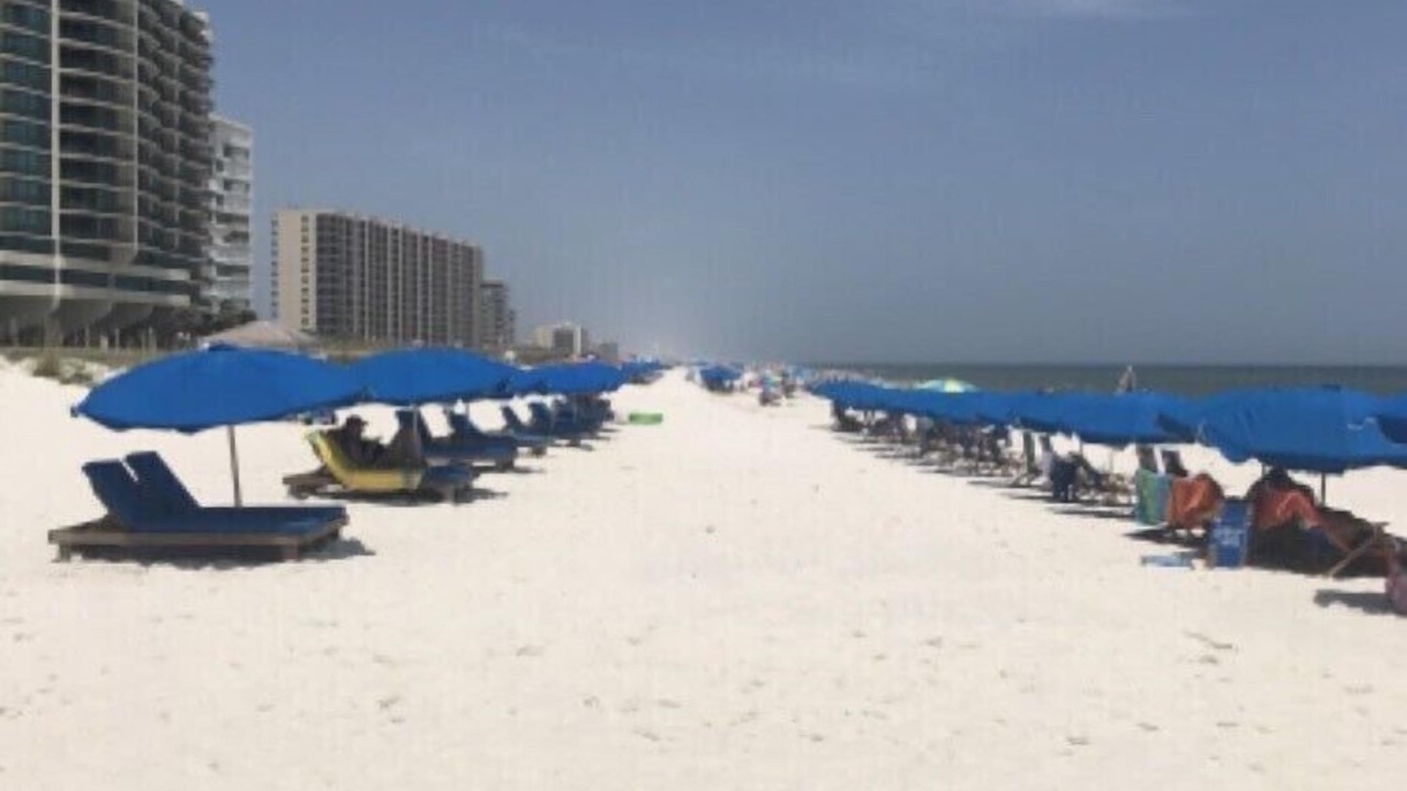 Photo of Others in Orange Beach East