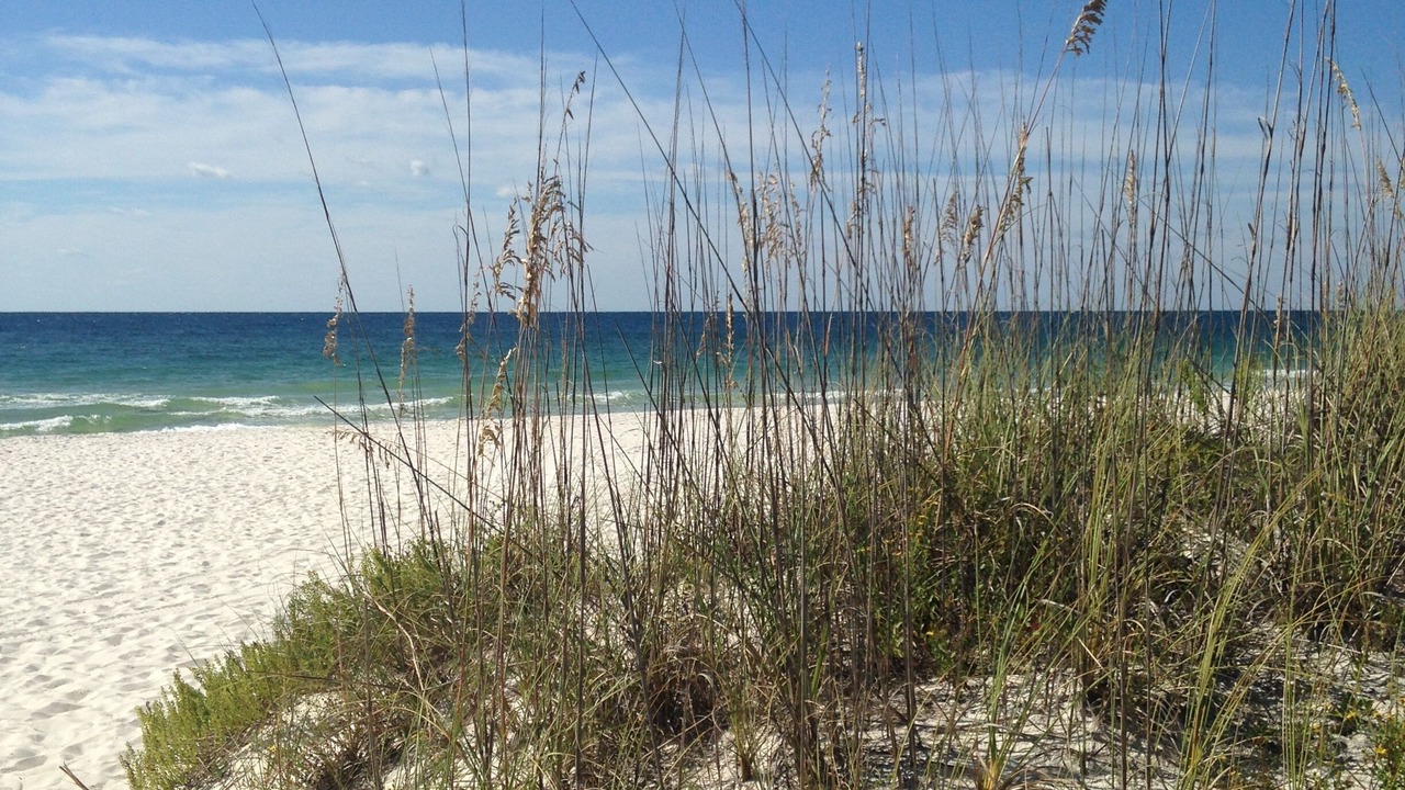 Photo of Others in Orange Beach East