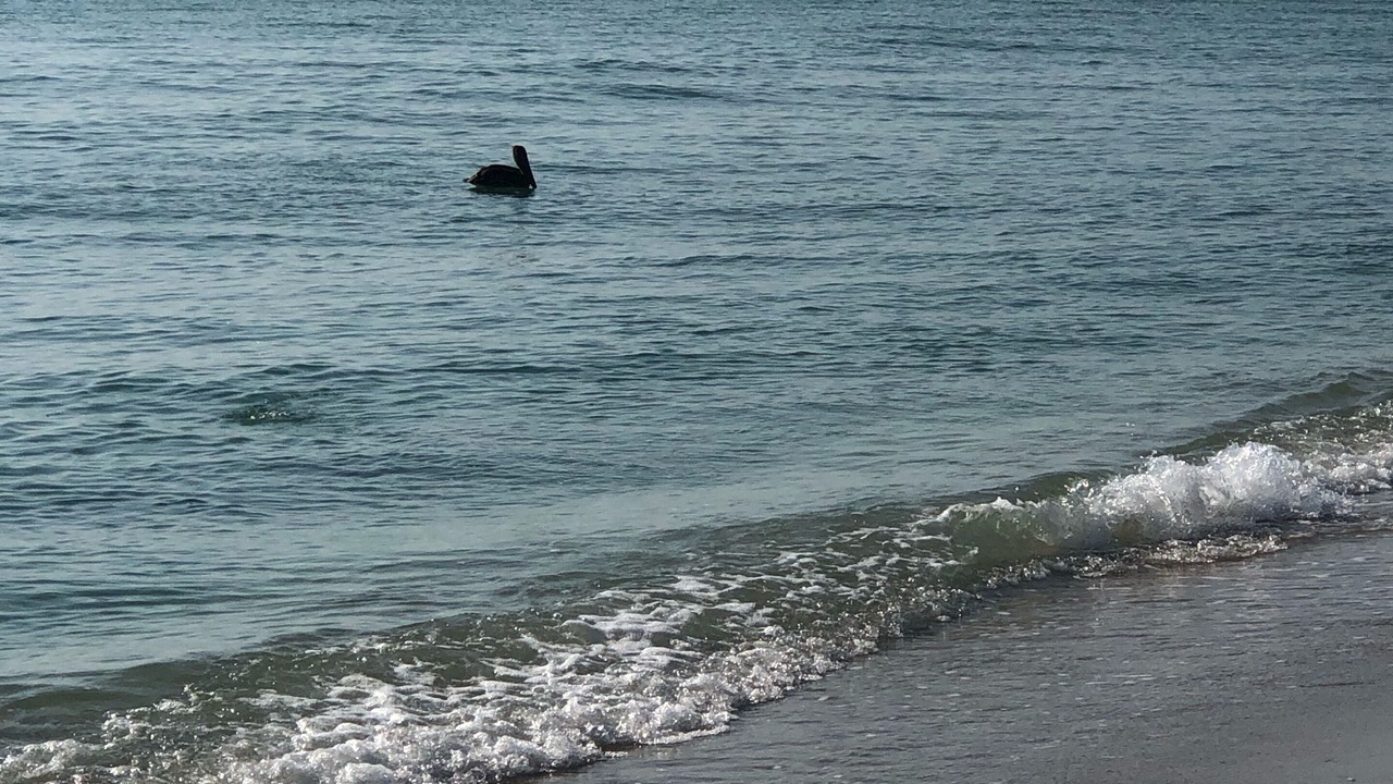 Photo of Others in Sunny Isles Beach