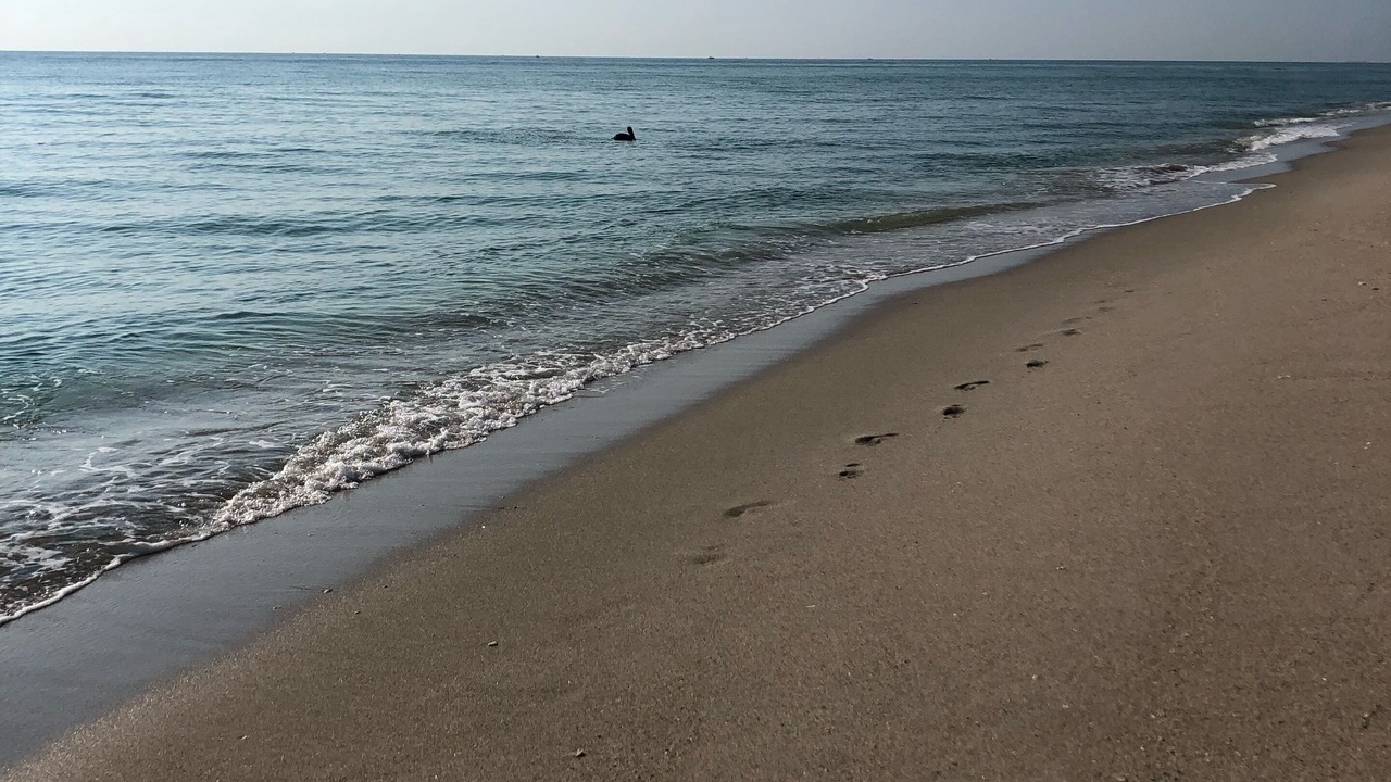 Photo of Others in Sunny Isles Beach