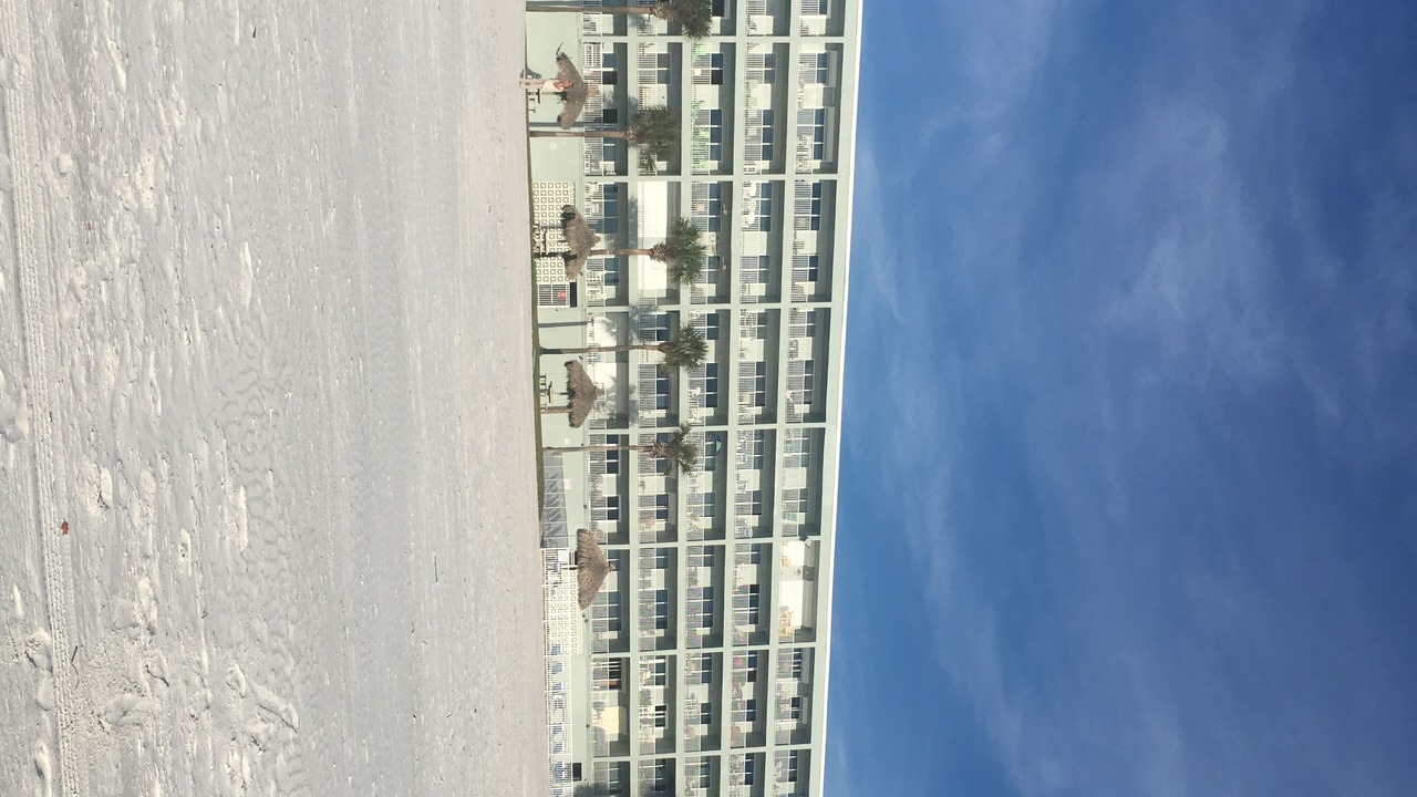 Photo of Outdoor in Redington Shores