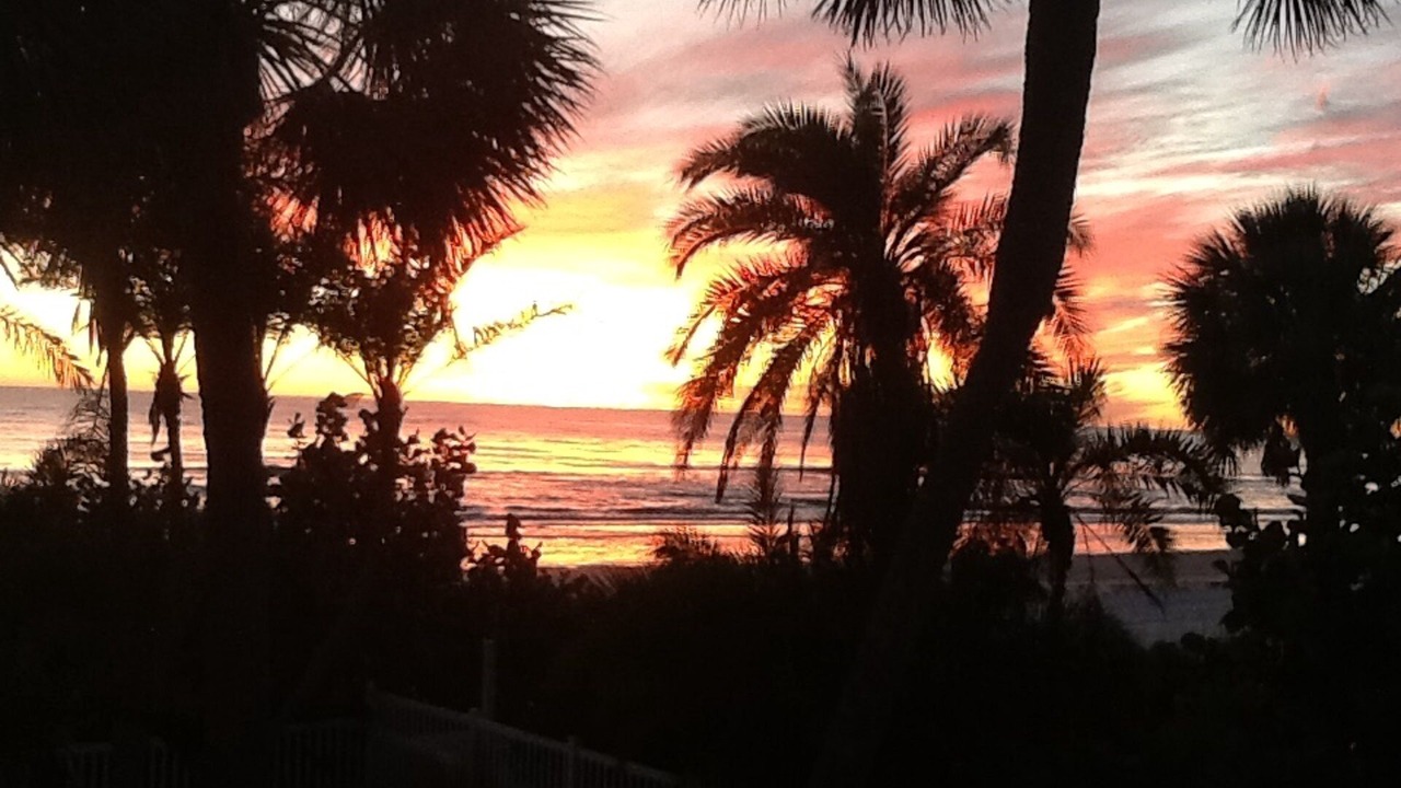 Photo of Others in Redington Beach