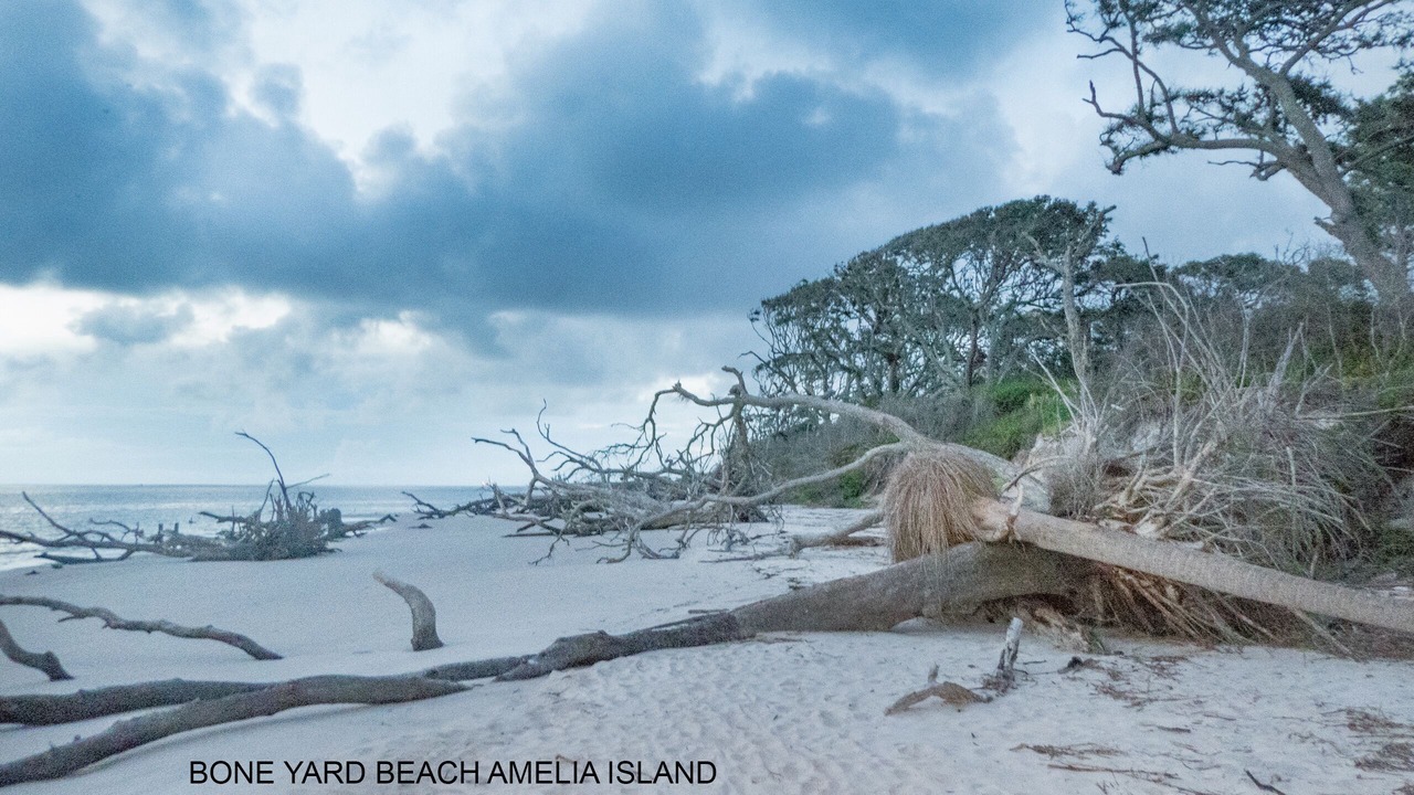 Photo of Others in Fernandina Beach