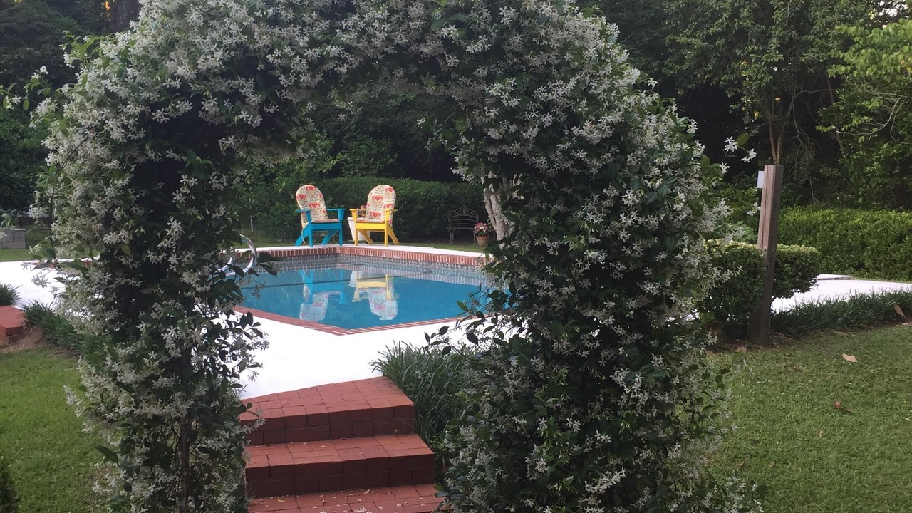 Photo of Outdoor in Tallahassee