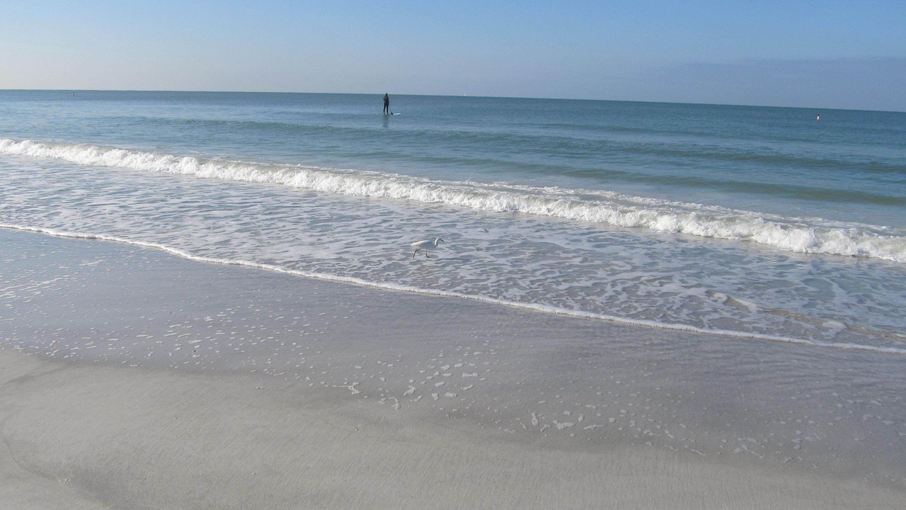 Photo of Others in Sunset Beach