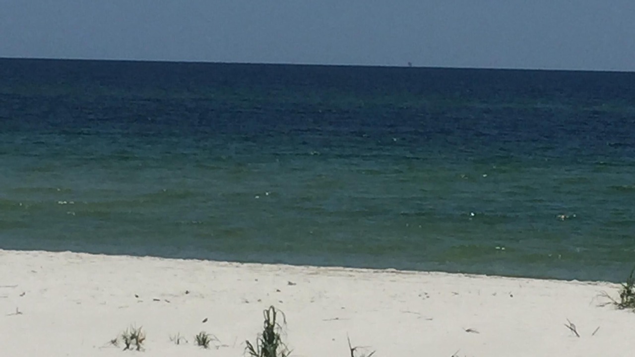 Photo of Others in Surf Side Shores