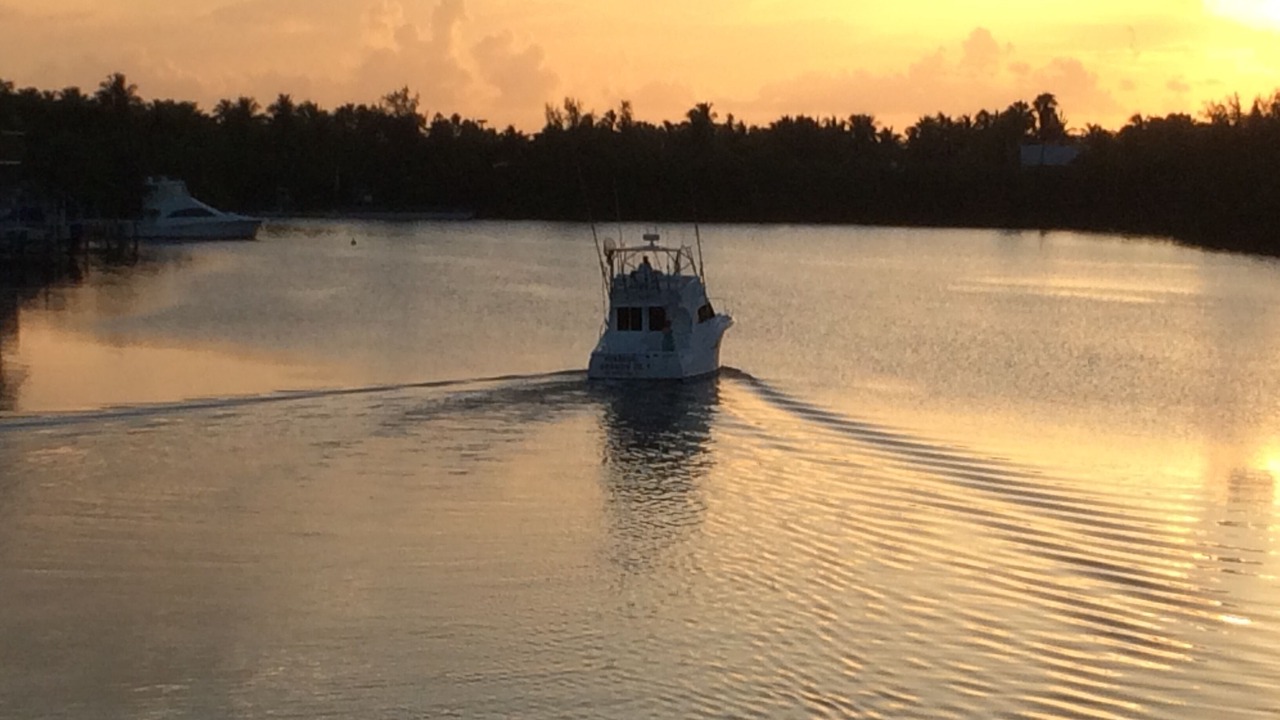 Photo of Others in Islamorada