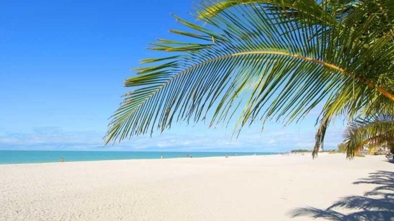 Photo of Others in Bradenton Beach