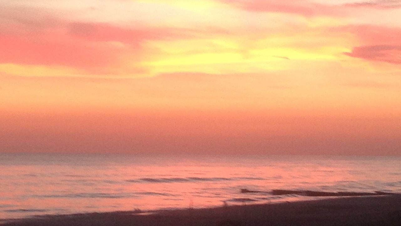 Photo of Others in Indian Shores