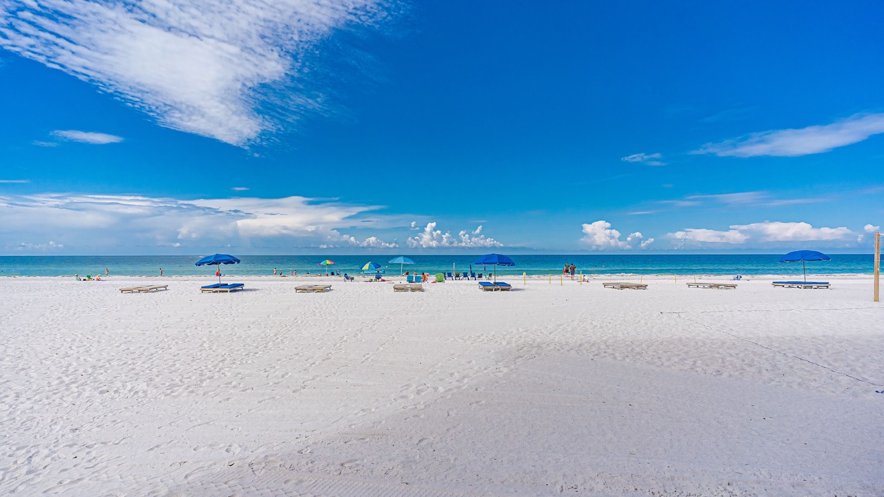 Photo of Others in Indian Shores