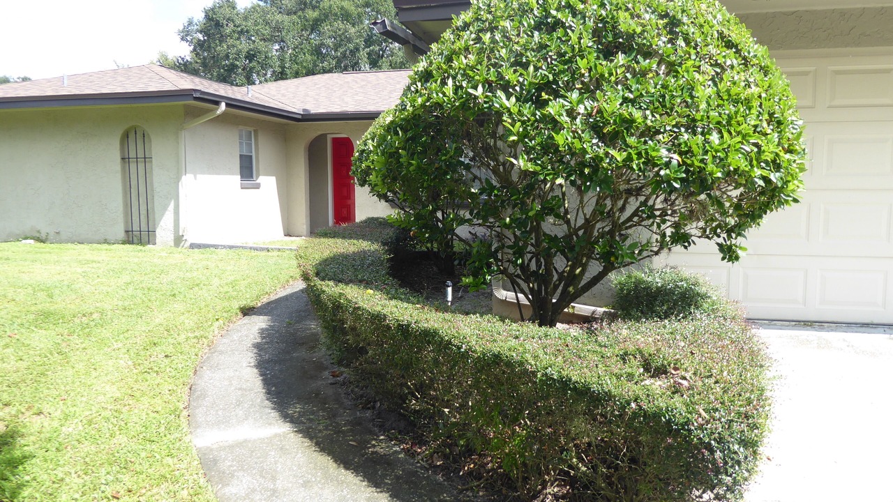 Photo of Outdoor in Altamonte Springs