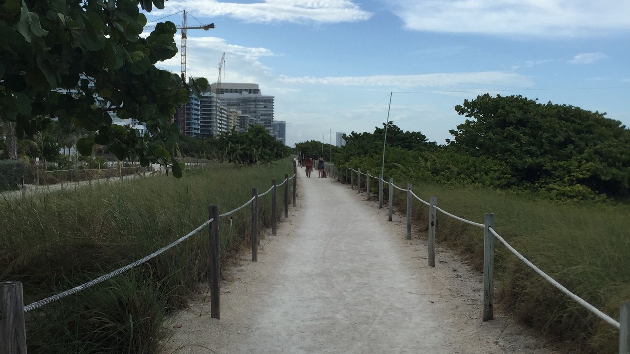 Photo of Others in Surfside