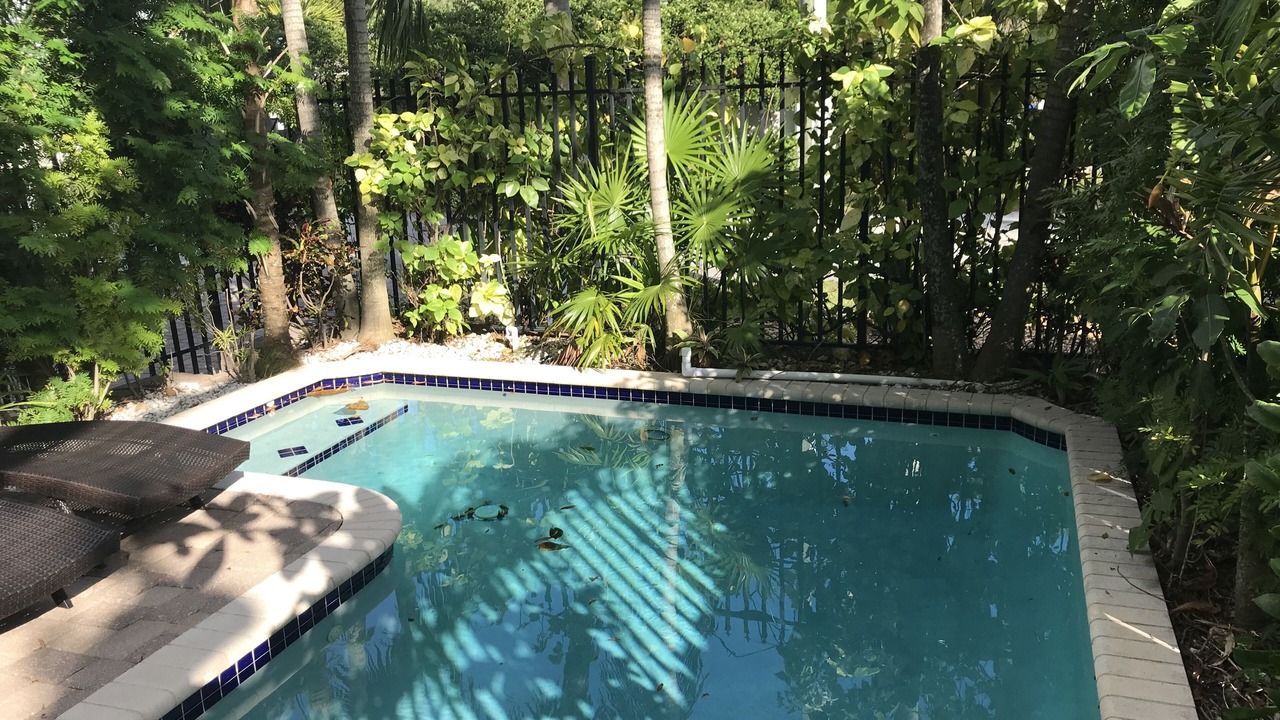 Photo of Outdoor in Tarpon River