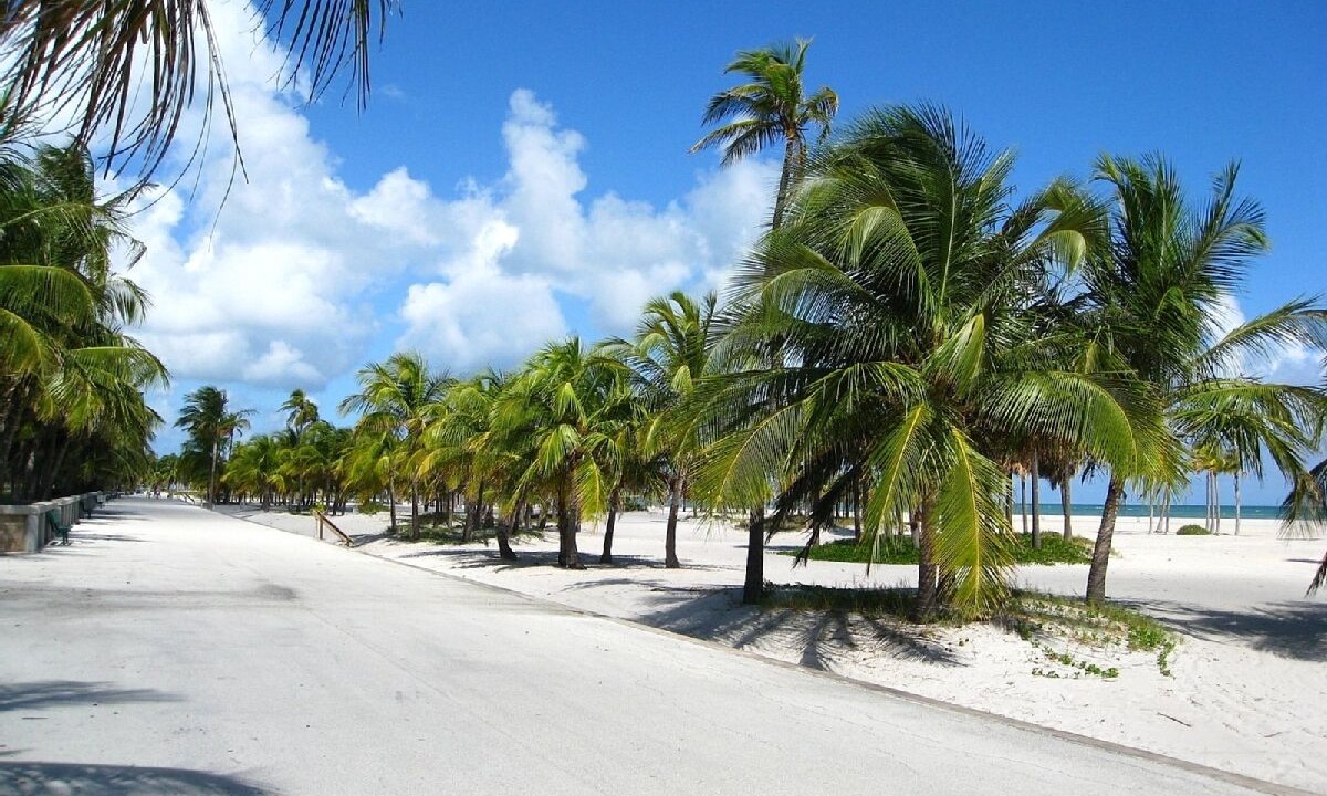 Photo of Others in Key Biscayne