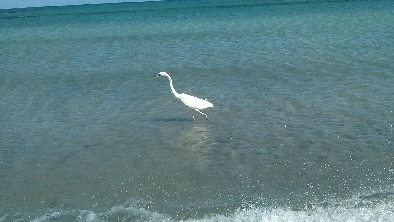 Photo of Others in Key Biscayne