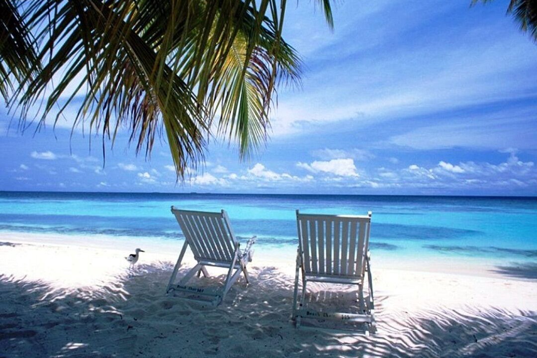 Photo of Others in Key Biscayne