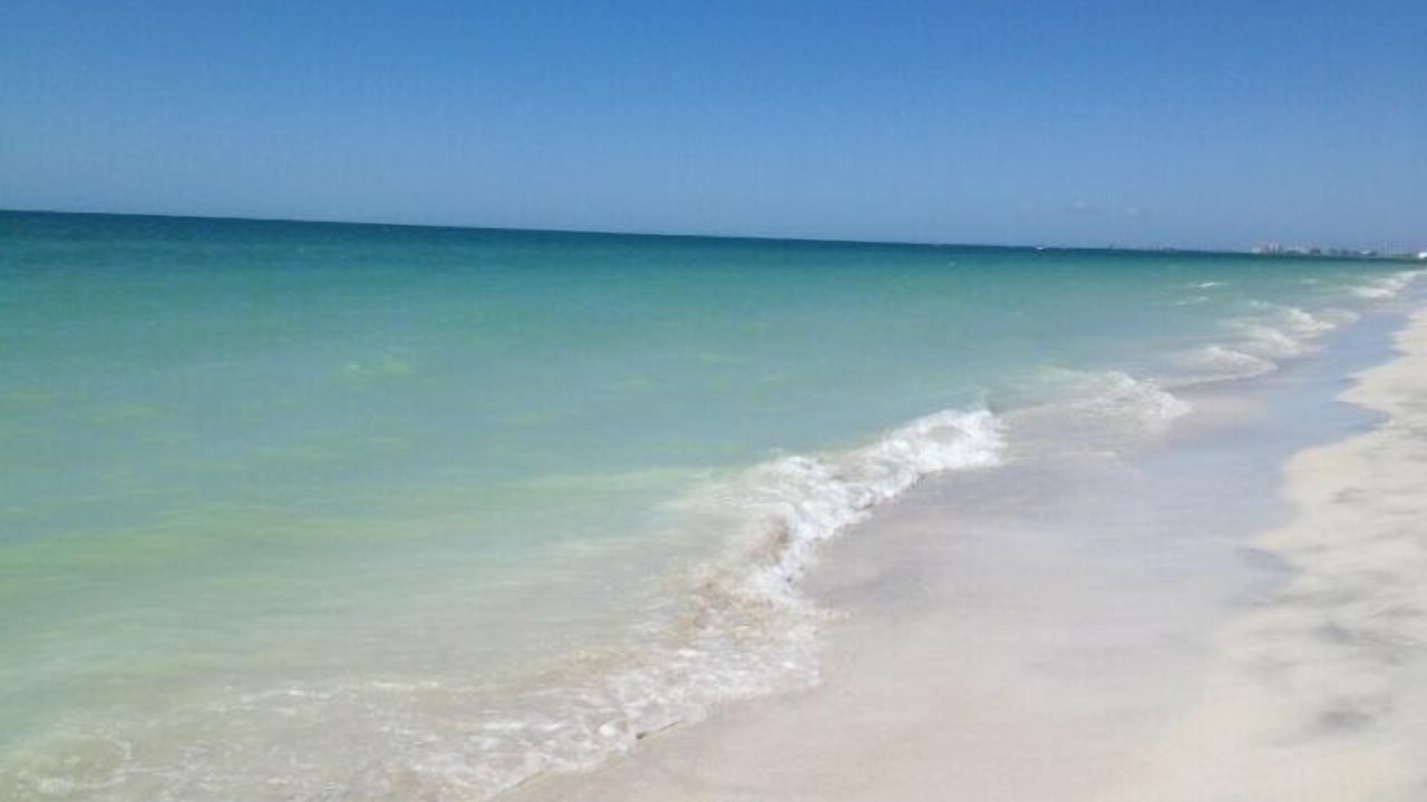 Photo of Others in Bonita Springs