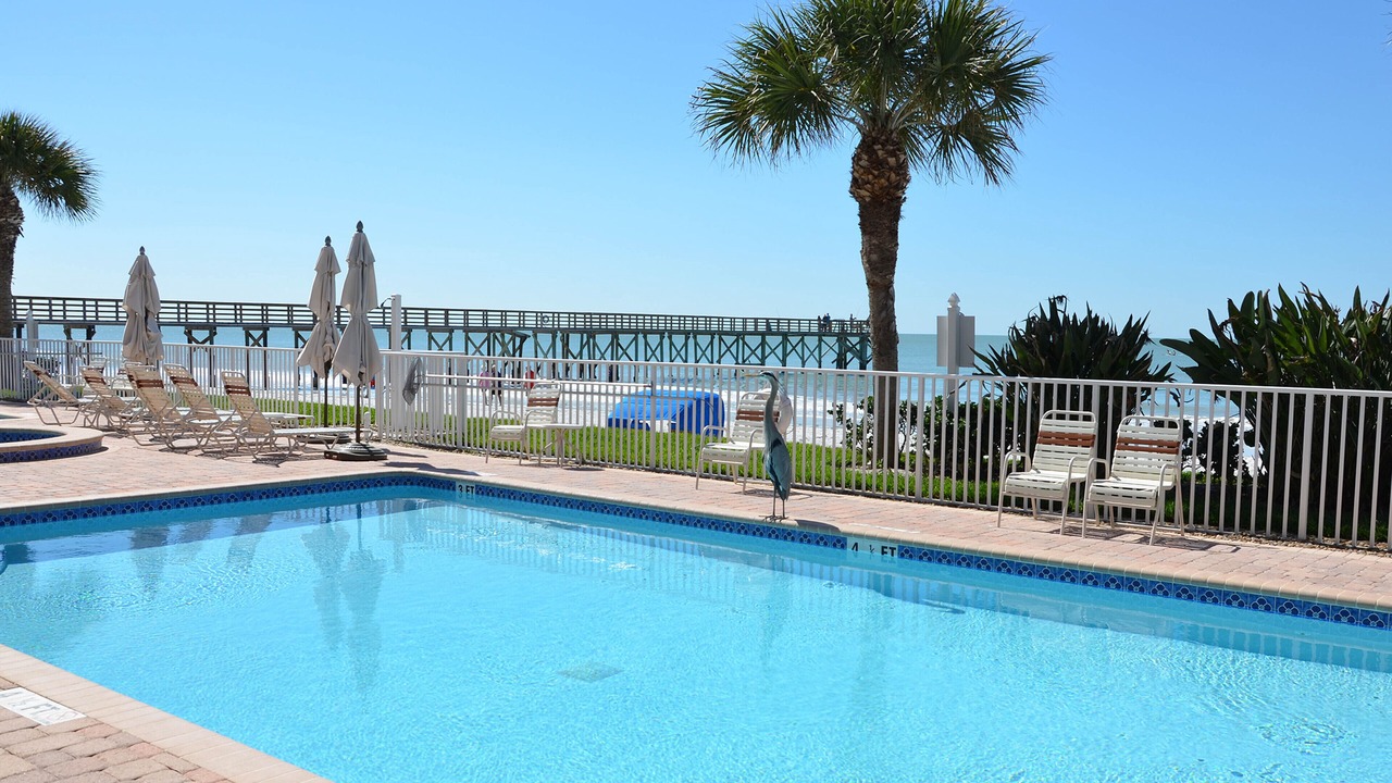 Photo of Outdoor in Redington Beach
