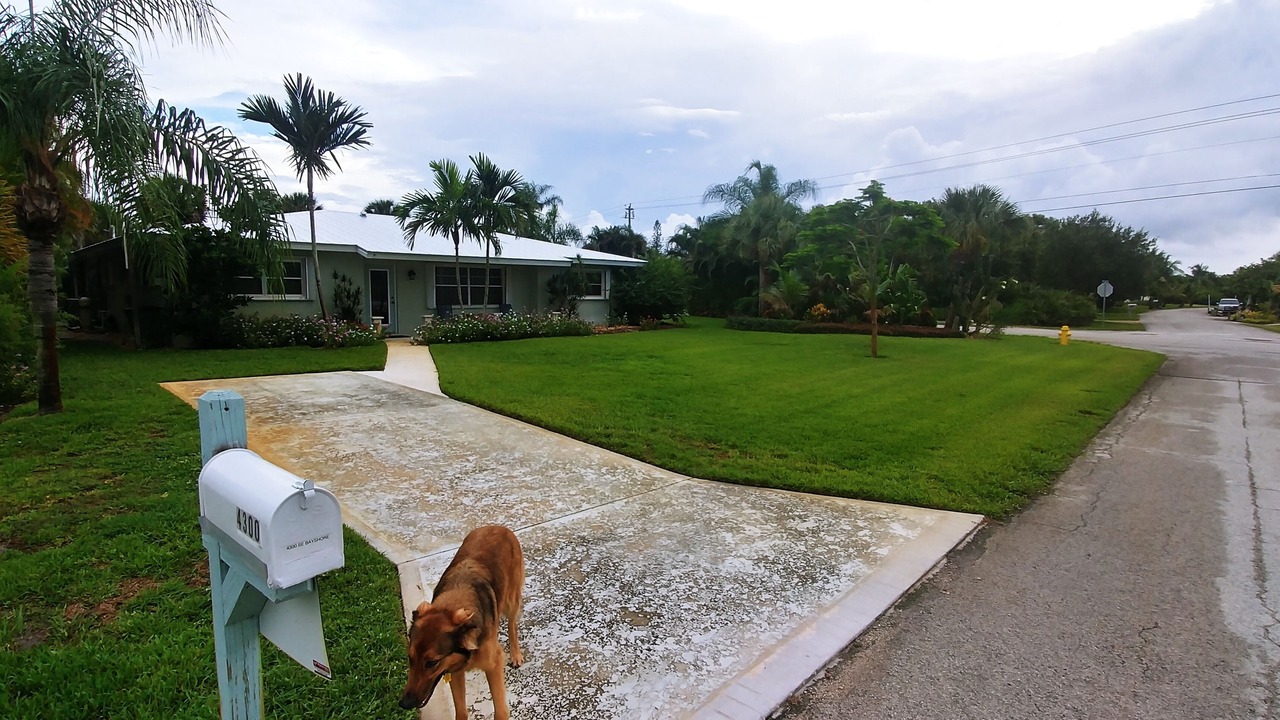 Photo of Outdoor in Rocky Point